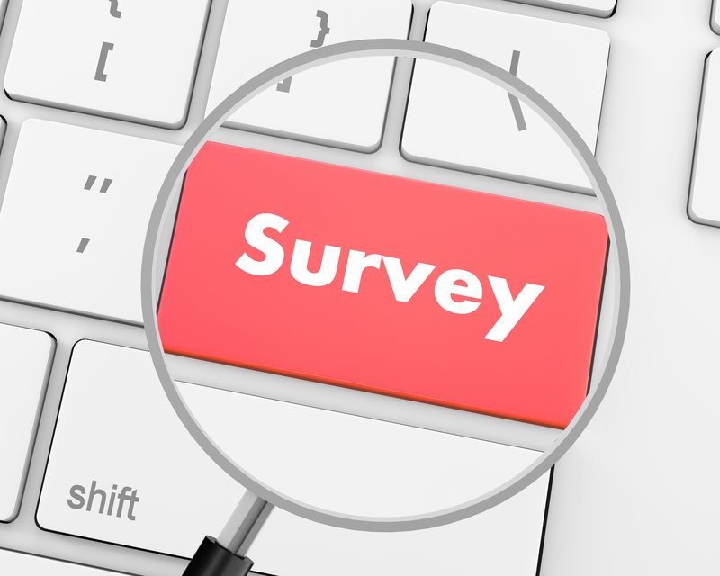 survey / Sarawut_Aiemsinsuk, Shutterstock