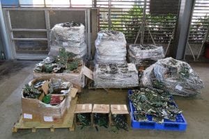 Hong Kong e-scrap raid Aug 2018