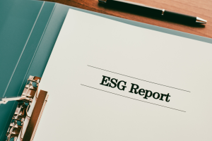 ESG report_Mameraman_Shutterstock