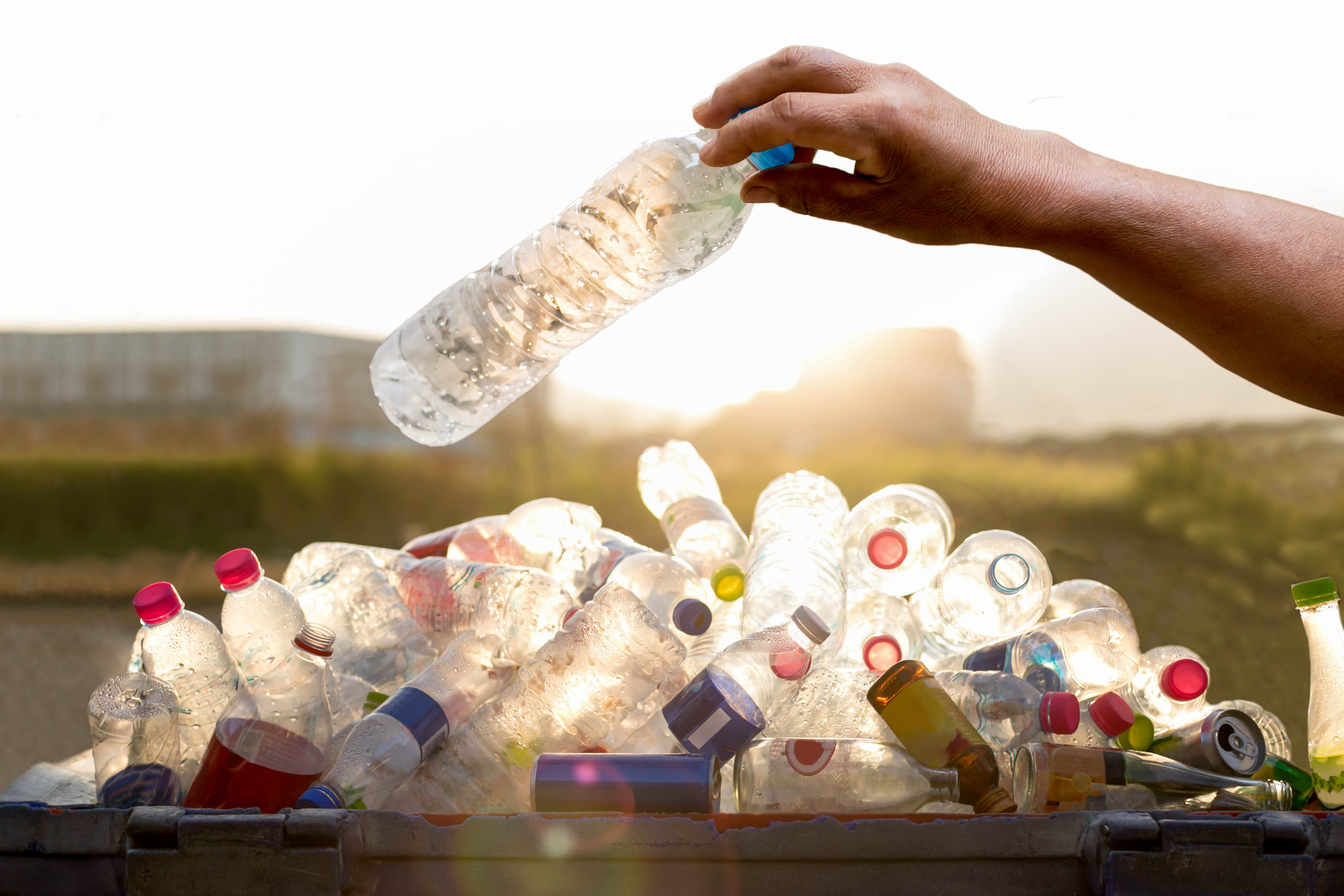 plastic bottles / Bignai, Shutterstock