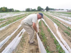 Agricultural plastics