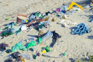 beach plastics