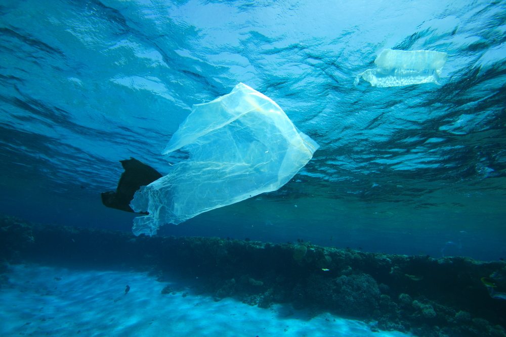 Marine debris plastics