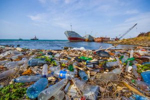 Trash Free Seas: Plastics in the Ocean - Ocean Conservancy