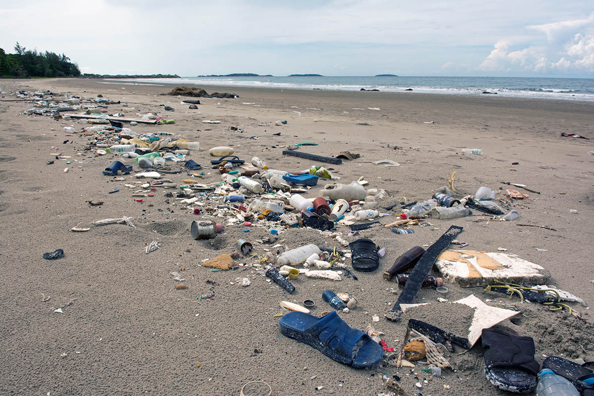 Plastic marine debris on a beach.