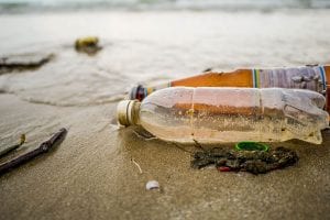 Plastic bottles washed up on a beach.