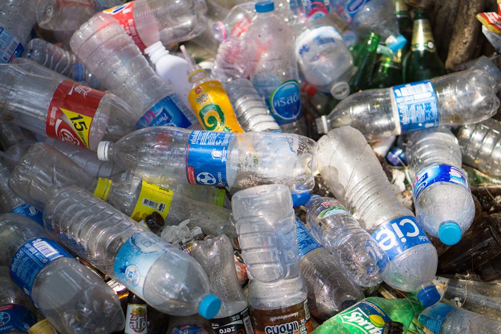 Plastic bottles gathered for recycling.