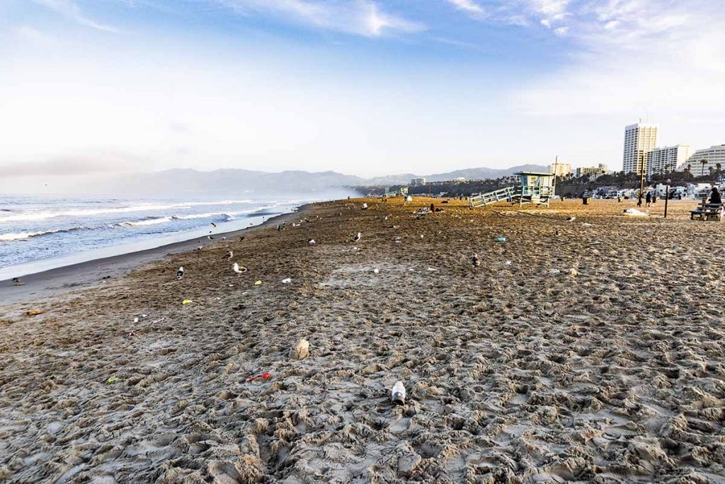 Santa Monica, Calif. beach with plastic waste.