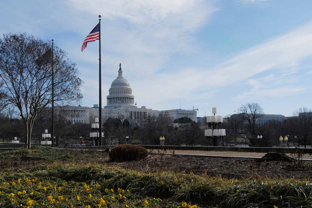 U.S. Capitol building in the distance with U.S. flag and flowers in foreground. 