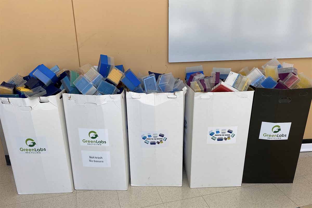 GreenLabs Recycling collection boxes.