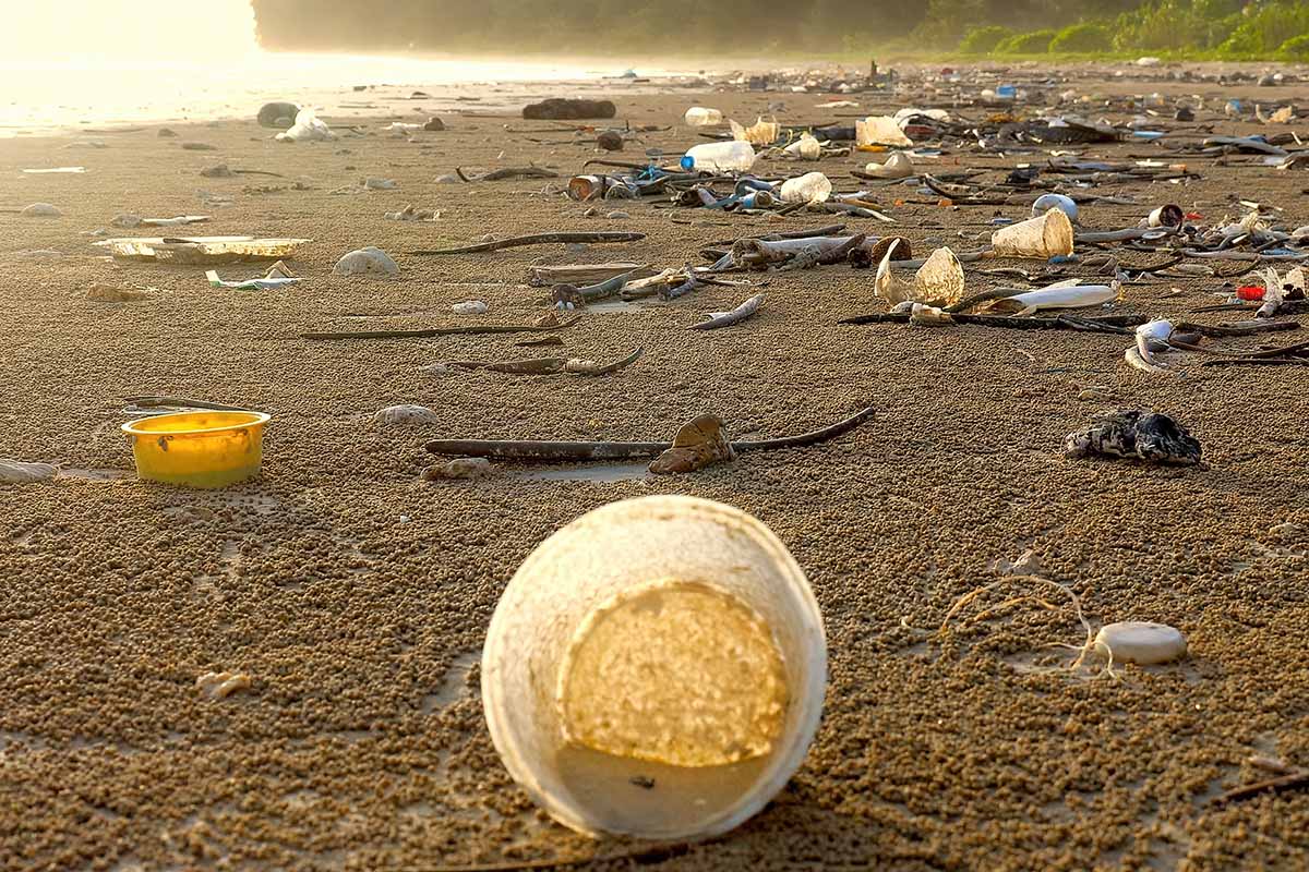 Marine debris-Molishka-Shutterstock