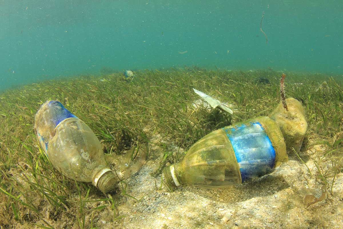 Ocean plastics-Rich Carey-Shutterstock