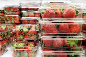 Plastic food trays holding fresh strawberries.