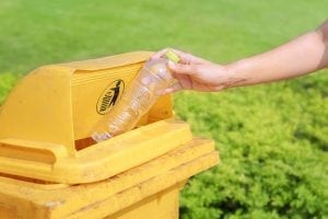 Bottle in recycling bin