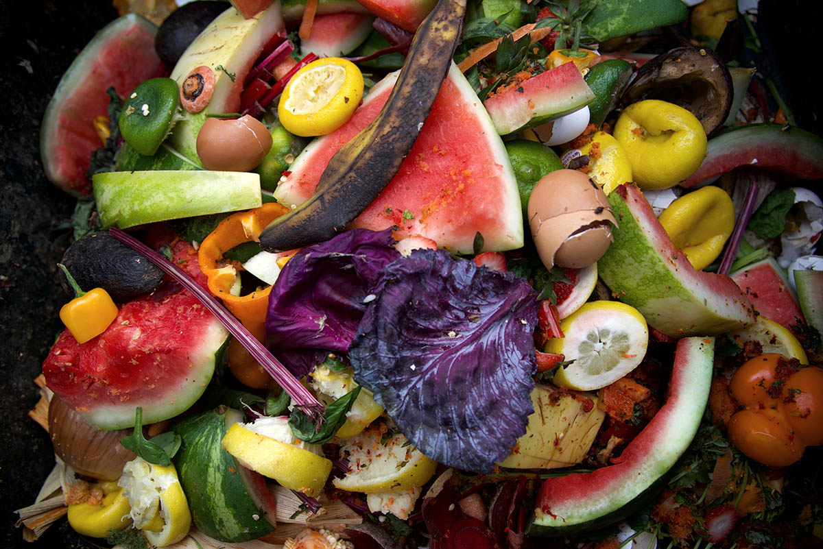 Food waste gathered for composting.