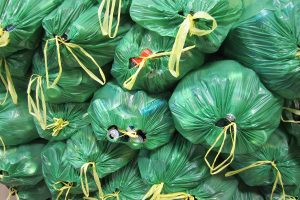 Green bags filled with empty bottles and cans for recycling in Oregon.