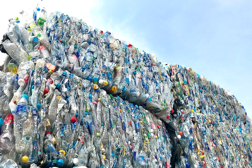 Bales of PET bottles for recycling.