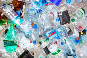 Plastic bottles gathered for recycling.