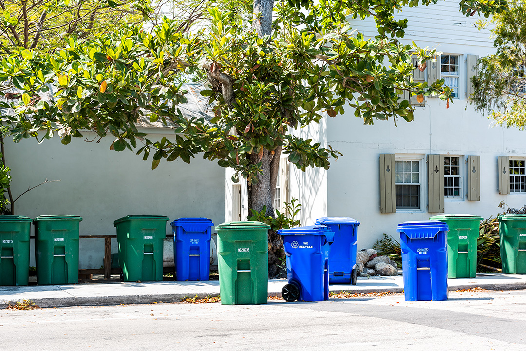 Waste and recycling carts on a Florida street.