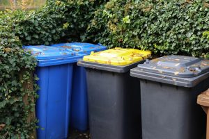 Waste and recycling bins.