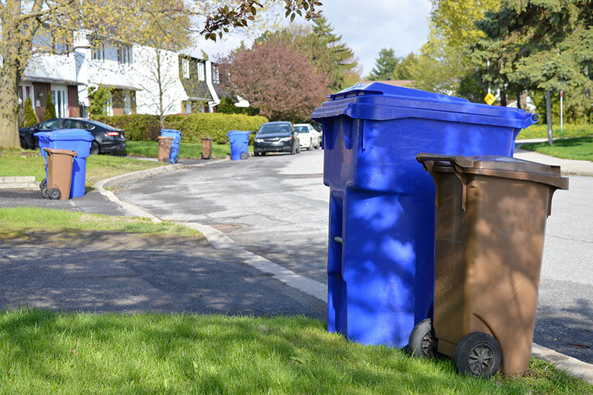 Curbside waste and recycling carts.