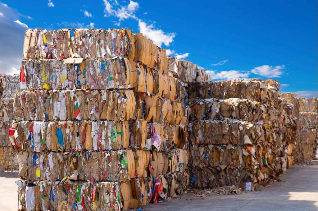 Company plans US recycled paper pulping facility