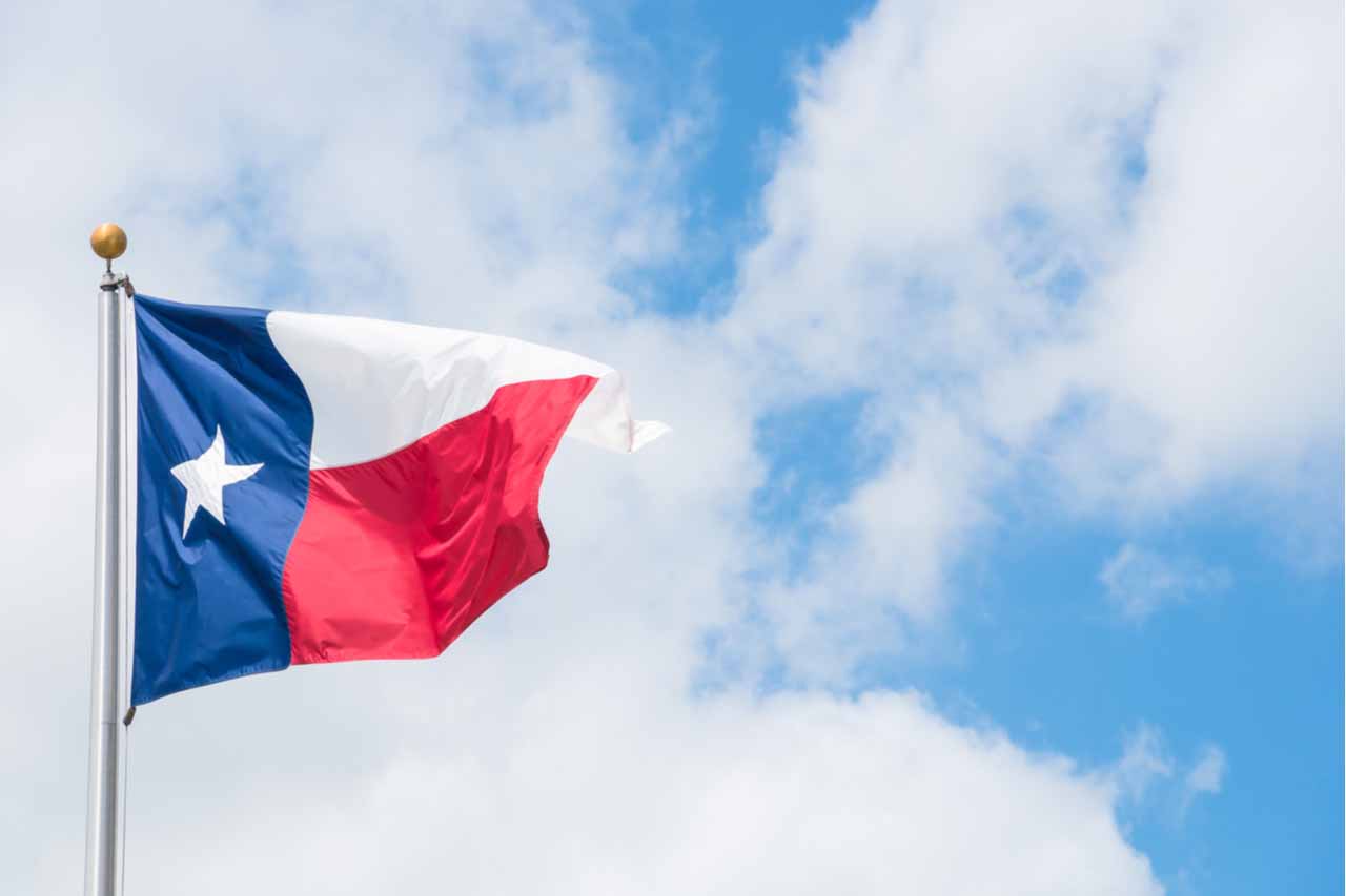 State of Texas flag flying against a sky background.