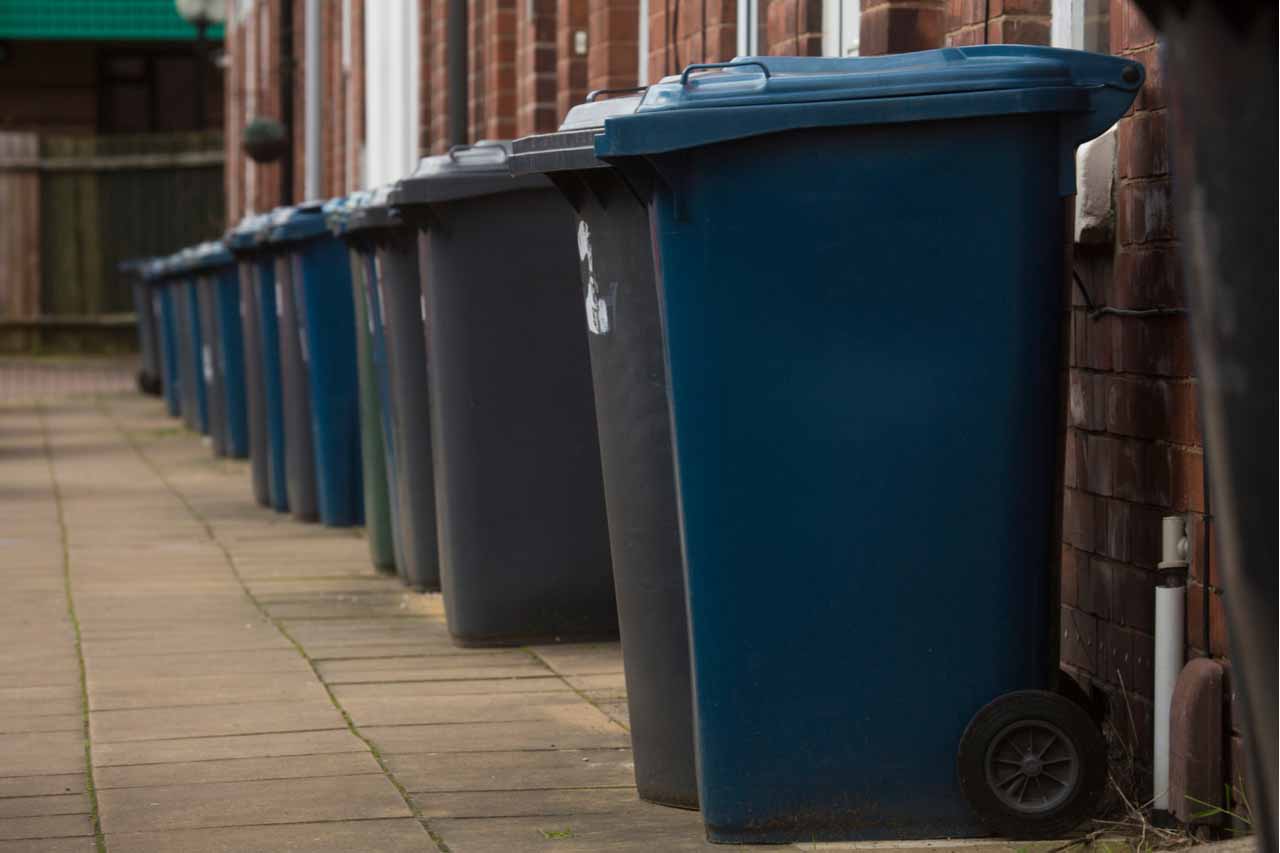 Waste and recycling bins outside of homes.