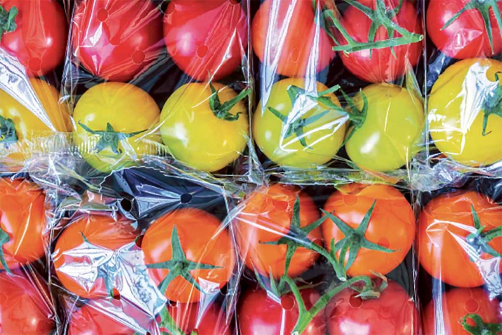 Colorful tomatoes in plastic packaging.