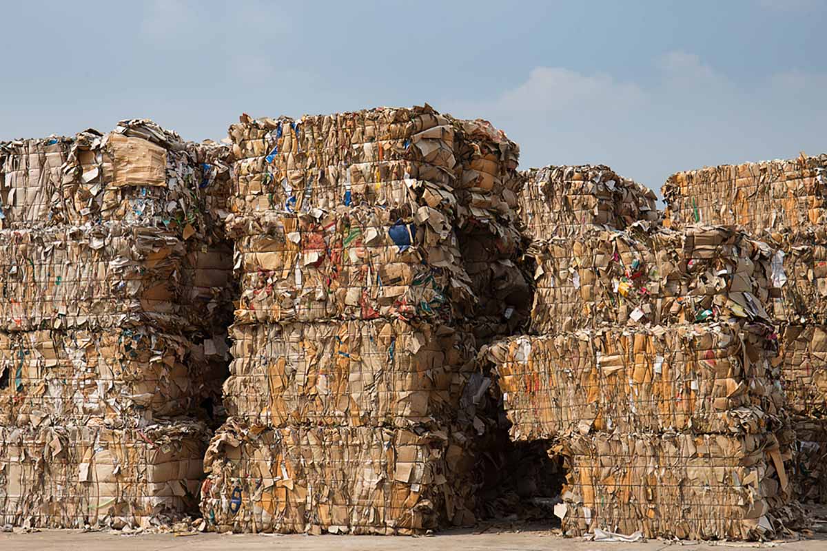Stacks of baled paper for recycling.