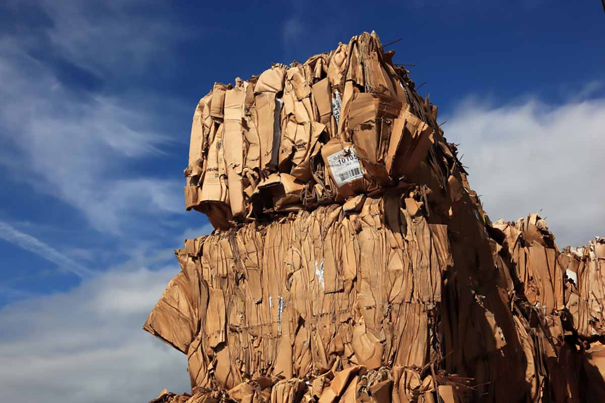 Baled OCC stacked for recycling.