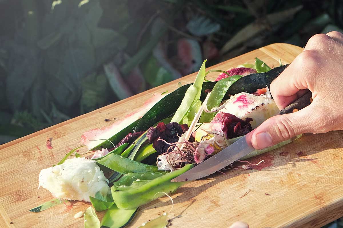 Person with food scraps for composting.