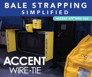 Accent Wire-Tie