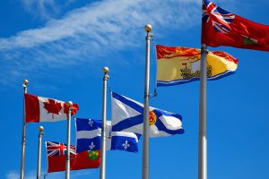 Five producer responsibility organizations plan to complete harmonized package design guidance, anchored for plastics in the APR Design Guide, by the end of 2026. | Gary718 / Shutterstock