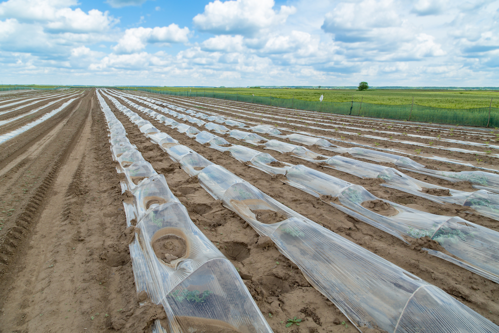 CalRecycle provides funds for plastics operations