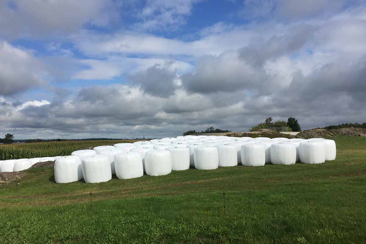 Cleanfarms examines farm plastics recycling potential