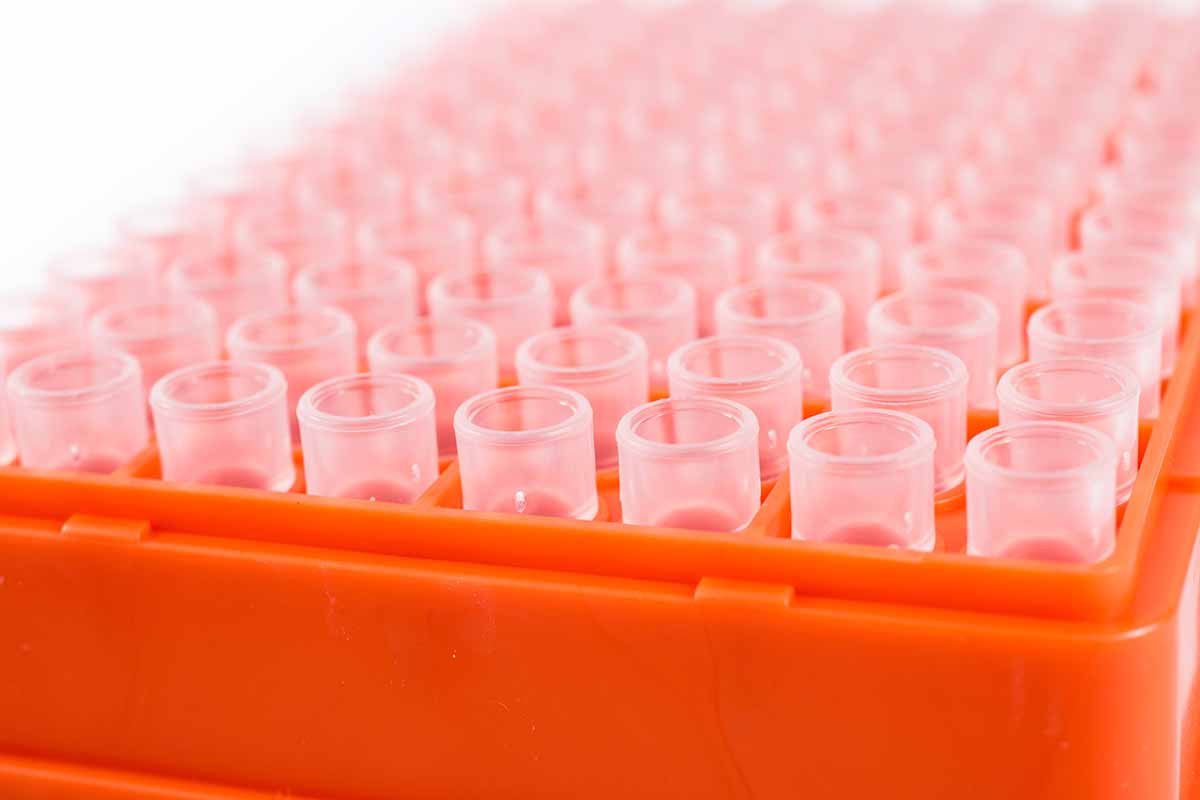 Capturing medical plastics ‘well suited to recycling’