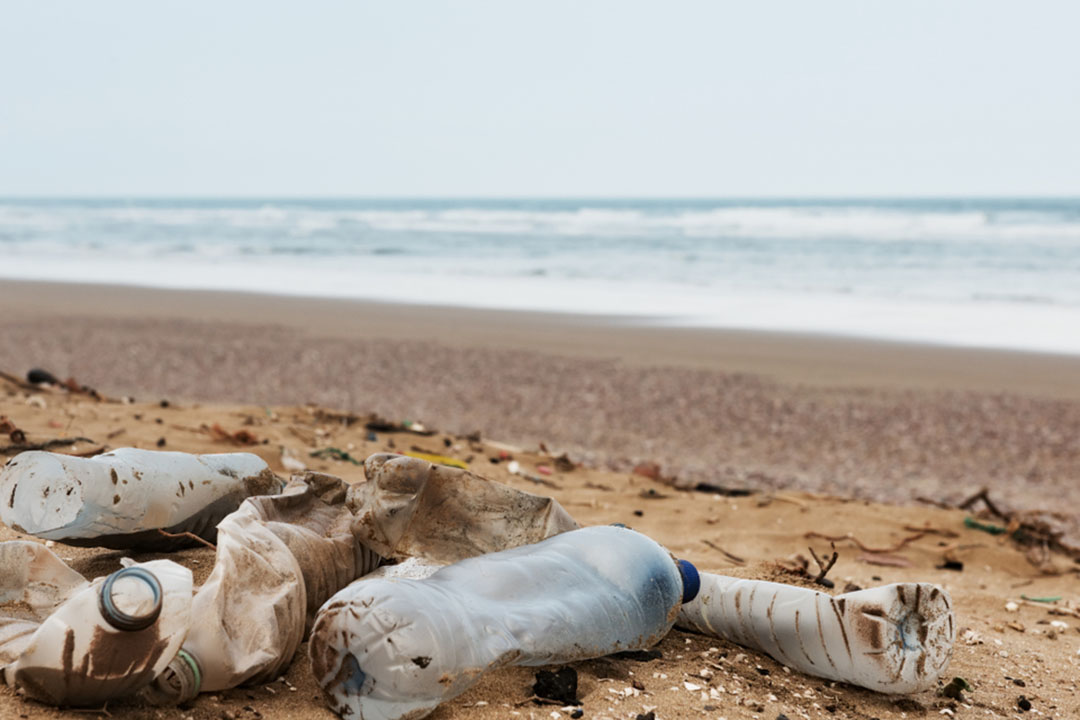 The latest in marine-plastics news