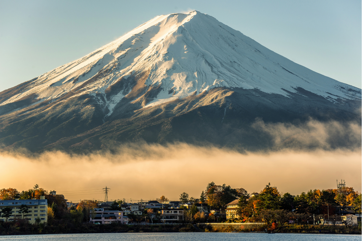 Studies cover food-grade recycled PP, airborne plastics