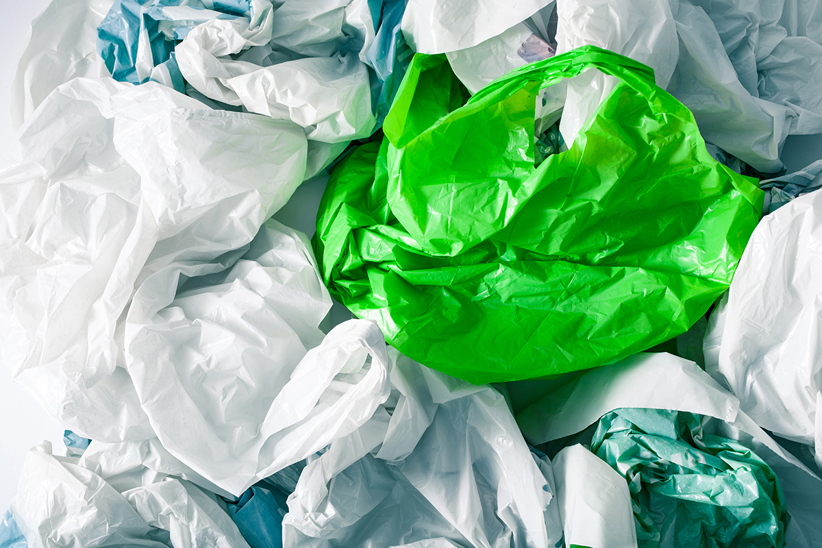 State of Washington studies bag ban effectiveness