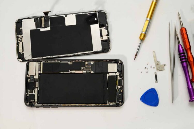 Our top stories from January 2021