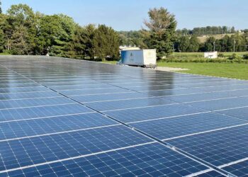 Sycamore International's new solar panel array Courtesy of Sycamore International.