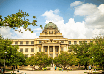Texas A&M researches rare earth extraction