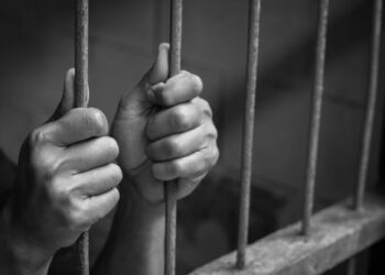 CEO sentenced to prison for counterfeit software scheme