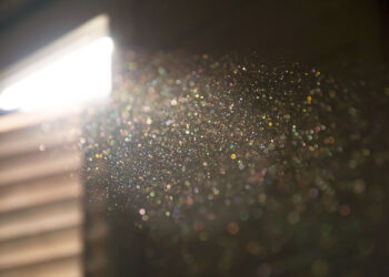 Dust particles floating in the light.