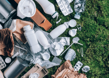 Study explores cleanliness of food packaging in bins