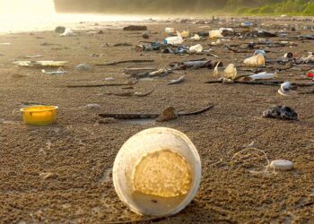 Marine debris-Molishka-Shutterstock