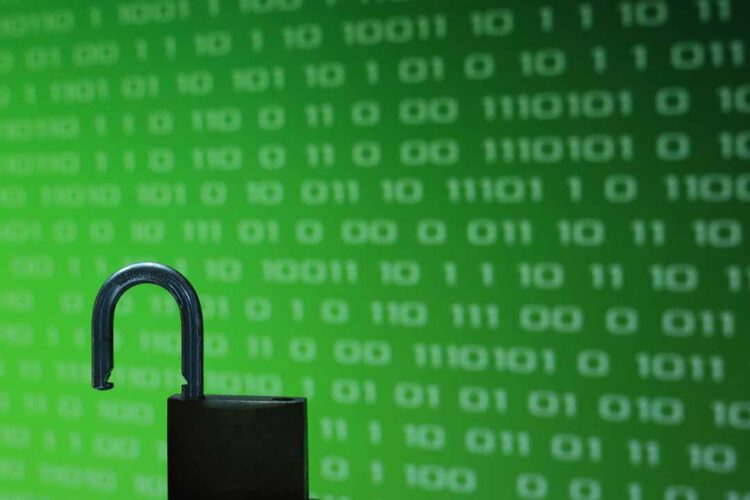 Our top stories from August 2020