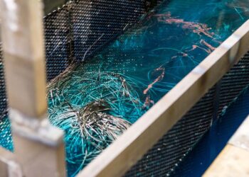 Electro-chemical metals separation