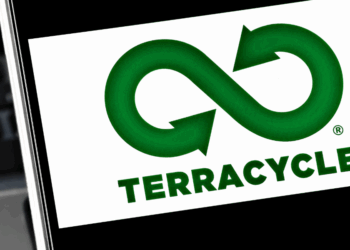 Collection company reports improved financials in 2022